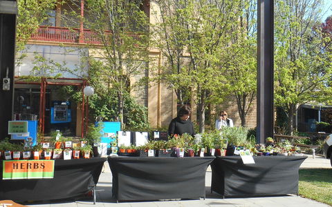 Clare Show Market - New South Wales Tourism  0