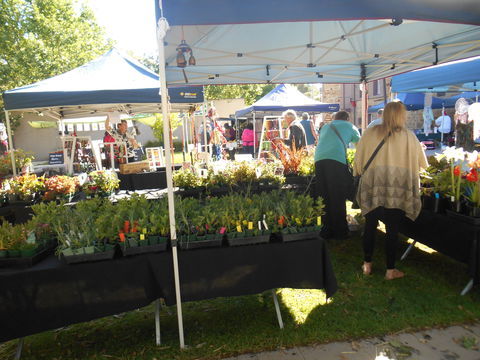 Clare Show Market - New South Wales Tourism  1