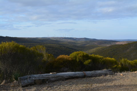 Cleve Hills Scenic Drive & Lookout - New South Wales Tourism  0