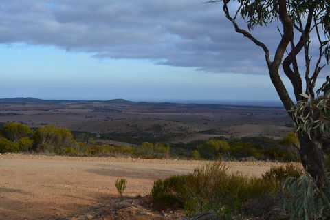Cleve Hills Scenic Drive & Lookout - New South Wales Tourism  1