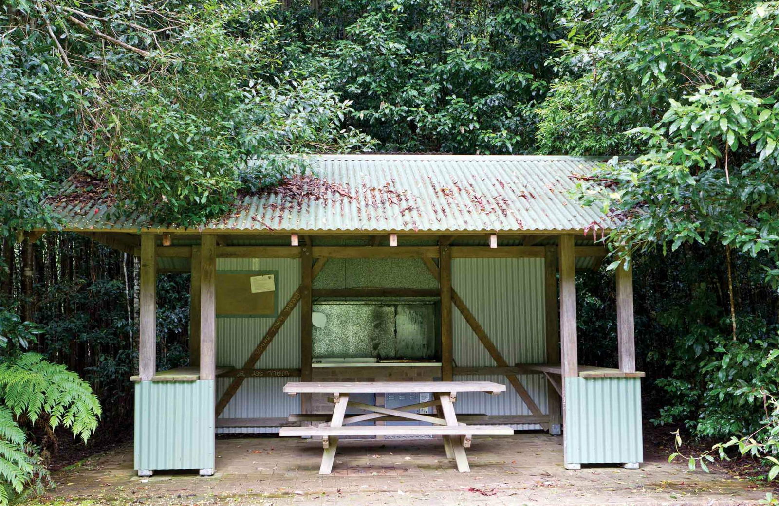 Gibraltar Range NSW New South Wales Tourism 