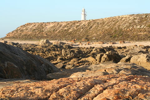 Corny Point Lighthouse - New South Wales Tourism  0