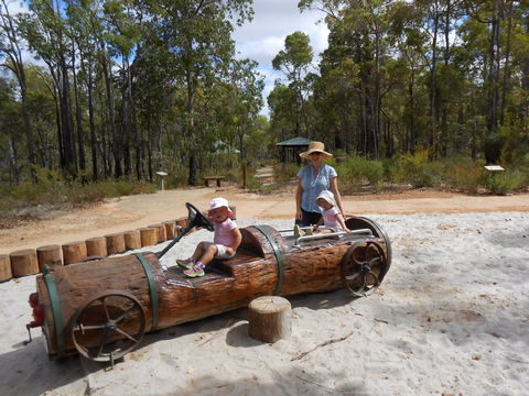 Crooked Brook Forest - New South Wales Tourism  0