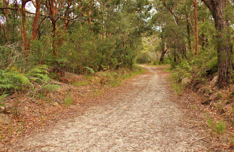 Daleys Point Walking Track - New South Wales Tourism  0