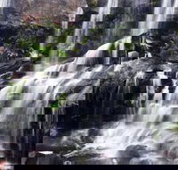 Darkes Forest - New South Wales Tourism 