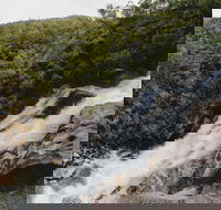 Davies Creek National Park and Dinden National Park - New South Wales Tourism 