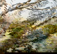 Dead Horse Gap walking track - New South Wales Tourism 