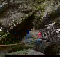 Dig the Tropic - New South Wales Tourism 