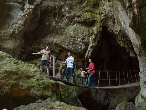 Dig The Tropic - New South Wales Tourism  0