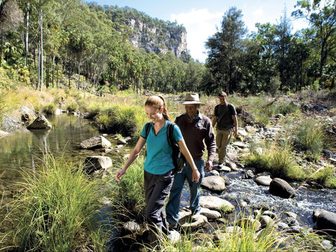 Dig The Tropic - New South Wales Tourism  1
