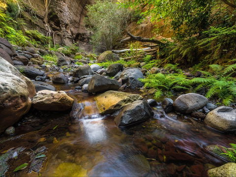 Dig The Tropic - New South Wales Tourism  2