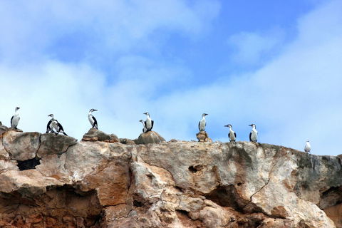 Dirk Hartog Island National Park - New South Wales Tourism  0