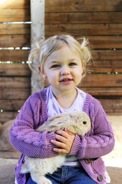 Golden Ridge Animal Farm - New South Wales Tourism  0