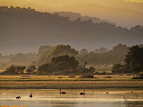 Greens Beach - New South Wales Tourism  0