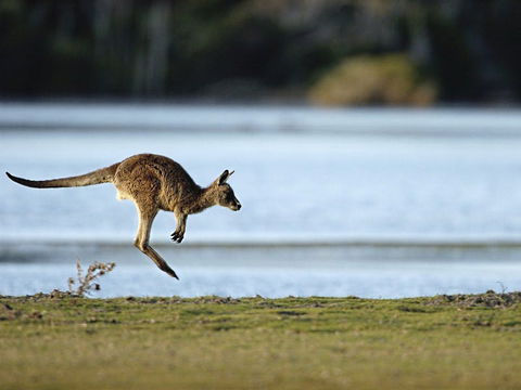Greens Beach - New South Wales Tourism  1