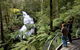 Great Otway National Park - thumb 0
