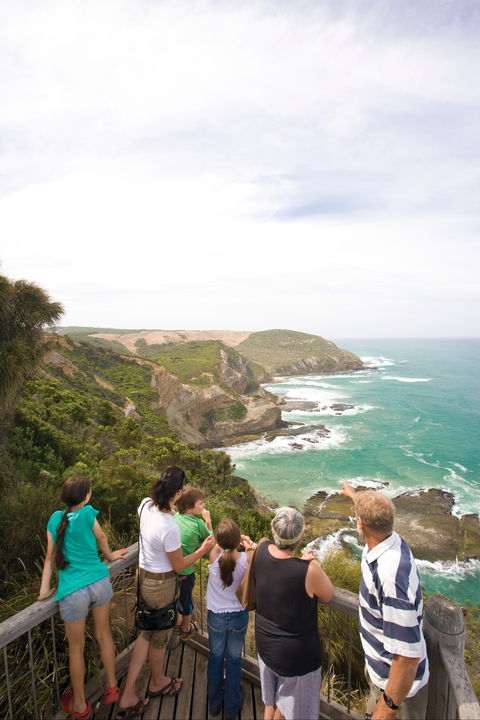 Great Otway National Park - New South Wales Tourism  1