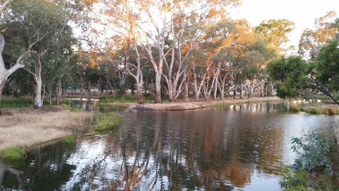 Green Corridor Walking Track - New South Wales Tourism  1