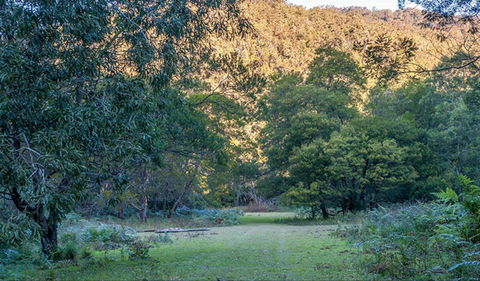 Griffins Walking Track - New South Wales Tourism  0