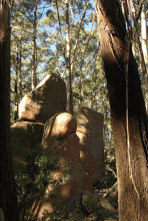 Gulaga National Park - New South Wales Tourism  0