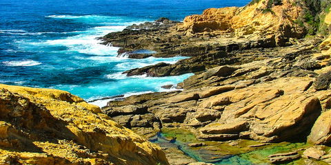 Gumnut Hideaway Gallery - New South Wales Tourism  2