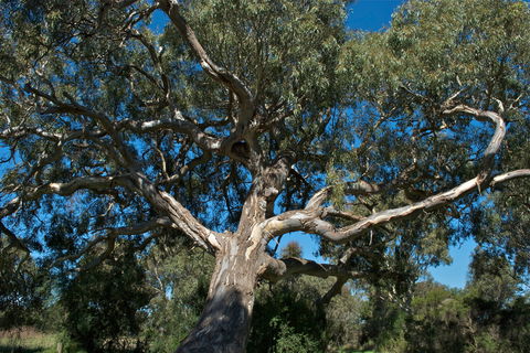 Holey Plains State Park - New South Wales Tourism  0