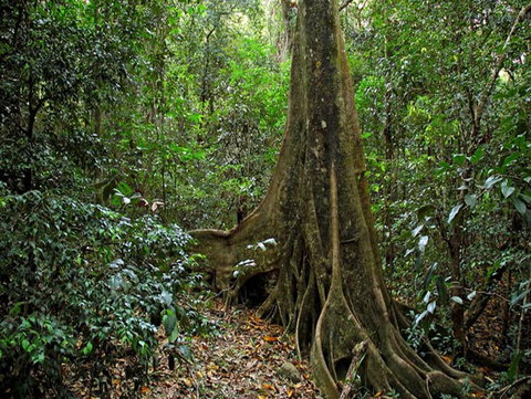 Iluka Nature Reserve - New South Wales Tourism  0