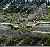 Kayaking Upper Tuross River and Bumbo Lake - New South Wales Tourism 