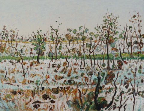 Kiama Art Gallery - New South Wales Tourism  1