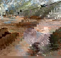 Kingsford Smith Mail Run - New South Wales Tourism 