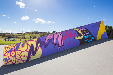 Kirkham Skate Park - New South Wales Tourism  1
