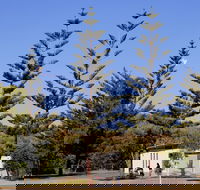 Kurrawa Park - New South Wales Tourism 