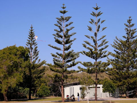 Kurrawa Park - New South Wales Tourism  0