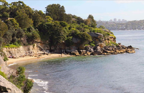 Lady Bay Beach - New South Wales Tourism  0
