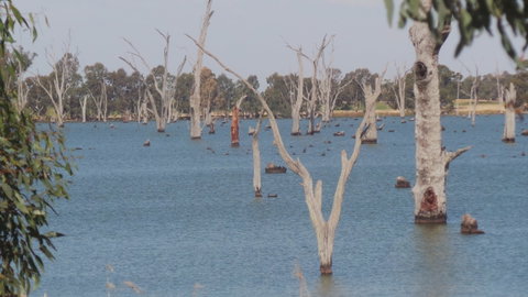 Lake Mulwala - New South Wales Tourism  2