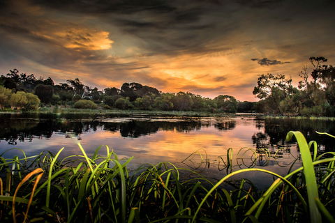 Lake McIntyre - New South Wales Tourism  0