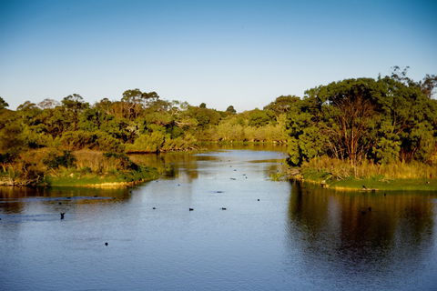 Lake McIntyre - New South Wales Tourism  2