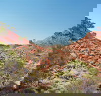 Lark Quarry Conservation Park - New South Wales Tourism 