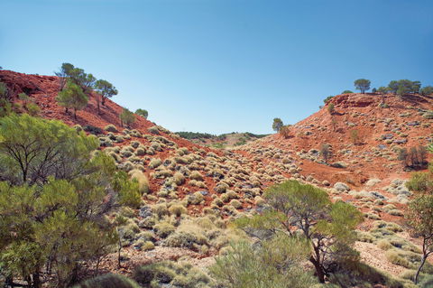 Lark Quarry Conservation Park - New South Wales Tourism  0