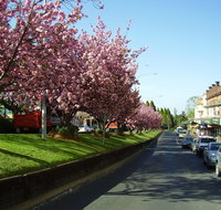 Leura - New South Wales Tourism 