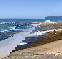 Little Shelley - New South Wales Tourism 