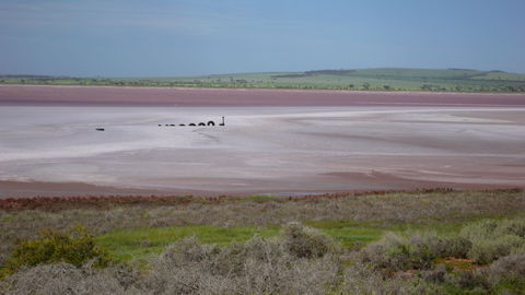 Lochiel - New South Wales Tourism  0