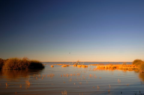 Malkumba-Coongie Lakes National Park - New South Wales Tourism  0