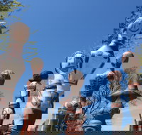 Mansfield Arts Walk - New South Wales Tourism 