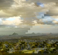 Mary Cairncross Scenic Reserve Rainforest Walk - New South Wales Tourism 