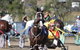 Marburg Pacing Association - thumb 1