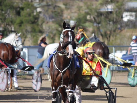 Marburg Pacing Association - New South Wales Tourism  1