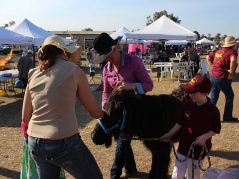 Marburg Pacing Association - New South Wales Tourism  2
