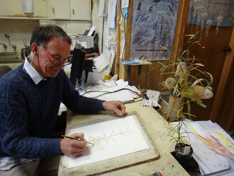 Medika Gallery - New South Wales Tourism  0