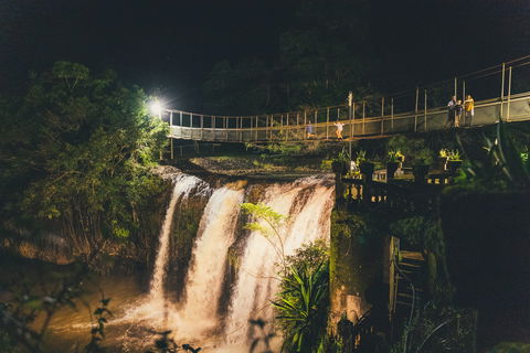 Mena Creek Falls - New South Wales Tourism  1